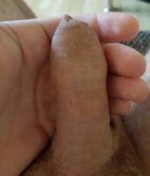 dicks_190821 5dd44e7d55732.jpg