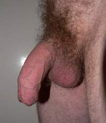 dicks_190821 5dd44ec33df67.jpg