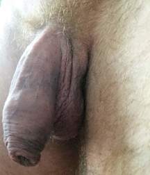dicks_190821 5dd44efd587f6.jpg