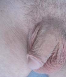 dicks_190821 5dd44f09cd7d1.jpg