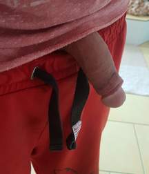 dicks_190821 5dd44f1050a39.jpg