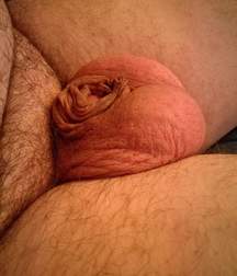 dicks_190821 5dd44f190a7d3.jpg