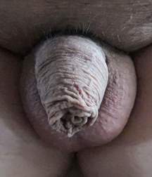 dicks_190821 5dd44f37f04fb.jpg