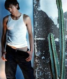 Ashton Kutcher 5c4d3f3b2e45a.jpg
