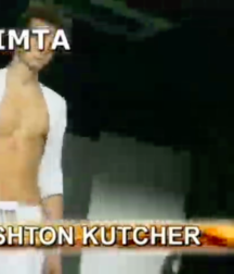 Ashton Kutcher 5c4d3ff3625f1.png