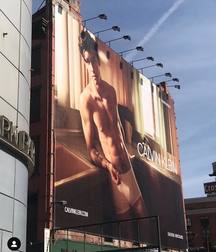 Shawn Mendes for Calvin Klein 5c6c92c7de3a5.jpg