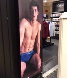 Shawn Mendes for Calvin Klein 5c6c92cb24907.jpg