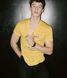 Shaun Mendes for Flaunt Magazine 5c6cb01f5627c.jpg