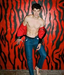 Shaun Mendes for Flaunt Magazine 5c6cb021e0a4e.jpg