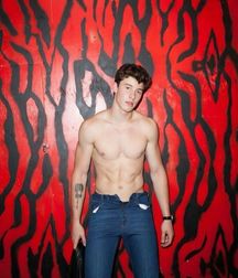 Shaun Mendes for Flaunt Magazine 5c6cb02417ce6.jpg