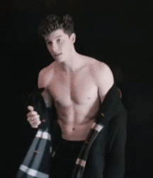 Shaun Mendes for Flaunt Magazine 5c6cb03378eb3.gif