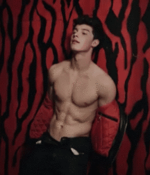 Shaun Mendes for Flaunt Magazine 5c6cb035dea92.gif