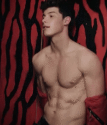 Shaun Mendes for Flaunt Magazine 5c6cb0370e7db.gif