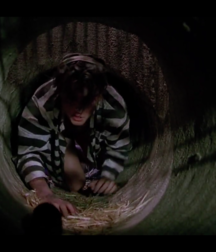 Young Johnny Depp 5c75e0f7e54f2.png