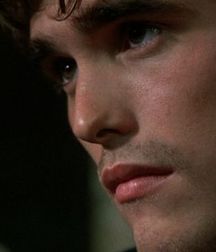 Matt Dillon 5c93d7be434bc.jpeg