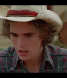 More Matt Dillon 5caeaf15998bc.png