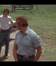More Matt Dillon 5caeaf18253b4.png