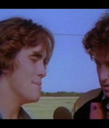 More Matt Dillon 5caeaf1aaeb5f.png