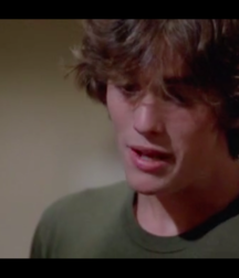 More Matt Dillon 5caeaf4892c41.png
