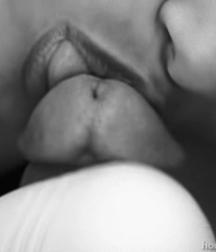 Holy cock 5c4f6a04d6e3d.gif