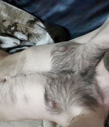 Solo guy 5cd88b7e8f878.jpg