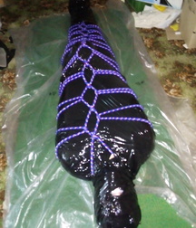 Bound boys fetish twink tube 5e08000443de8.jpg