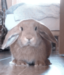 Cartoon art by Harry Bush or Arte,  5e273247ab399.gif