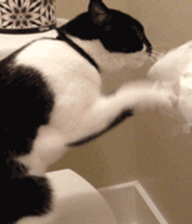 Cartoon art by Harry Bush or Arte,  5e27324d172c0.gif