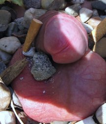 Blow Jobs, cumshots, art, and hot guys 5e2876cdbc27c.jpg