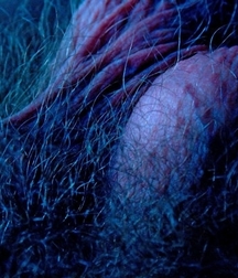 Art, boys, Johan, naked outdoor 5e28b7ce78711.jpg