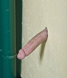 Slightly bizarre or usual 5e28b9ffdae9e.jpg