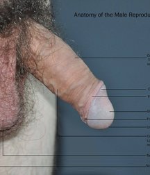 Angels, unusual items, art work 5e29b69317f25.jpg