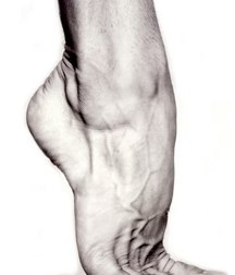 Art, missionary, Guys, Cum 5e29ba8640587.jpg