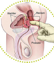 Art, missionary, Guys, Cum 5e29bb8281900.jpg