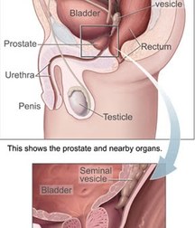 Art, missionary, Guys, Cum 5e29bb86c4b9c.jpg