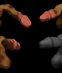 Cum, penis, toys, wings 5e29e7e9d6e3d.jpg