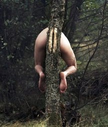 Art, Watermelons, Uzi's and Hot Guys 5e2a2577c3d96.jpg