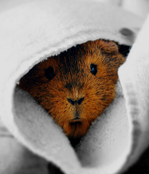 Art, Watermelons, Uzi's and Hot Guys 5e2a25c9a142e.jpg