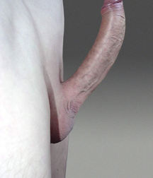 Art, Watermelons, Uzi's and Hot Guys 5e2a25e85b25e.jpg