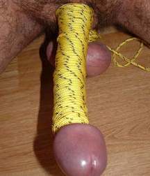 Oddities on the Web 5e2b3d57c9418.jpg