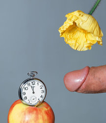 Oddities on the Web 5e2b3ef850525.jpg