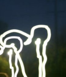 Fun stuff, oddities and internet porn 5e2bb125273ac.jpg