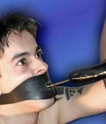 Fun stuff, oddities and internet porn 5e2bb1c2c20b7.jpg