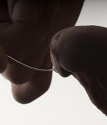 Fun stuff, oddities and internet porn 5e2bb1e233daf.jpg