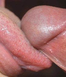 Nice butts, cock on a rock, balls 5e2cb736516e0.jpg