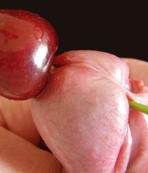 The banned Warren Cup, toys, cocks, art 5e2d9ce20bf31.jpg