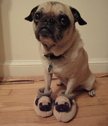 Penises, naked guys, dildos, cum, art 5e2da69320847.jpg