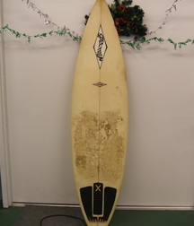 Alligator, Chad, Brandon, Surfing 5e2dcb69d1168.jpg
