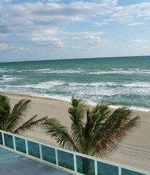 Alligator, Chad, Brandon, Surfing 5e2dcb720e72d.jpg