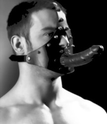 Hung guys, anal, parodies 5e2f081e4cc43.jpg